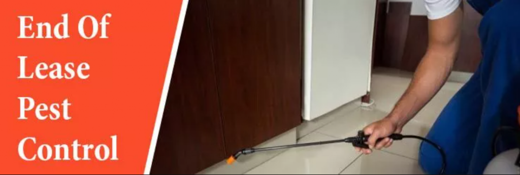 End of lease pest control services